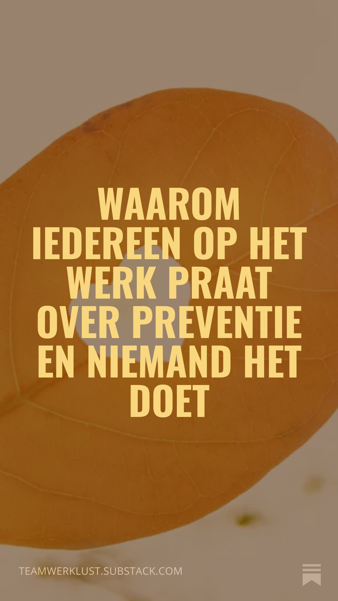 Integrale verzuimaanpak