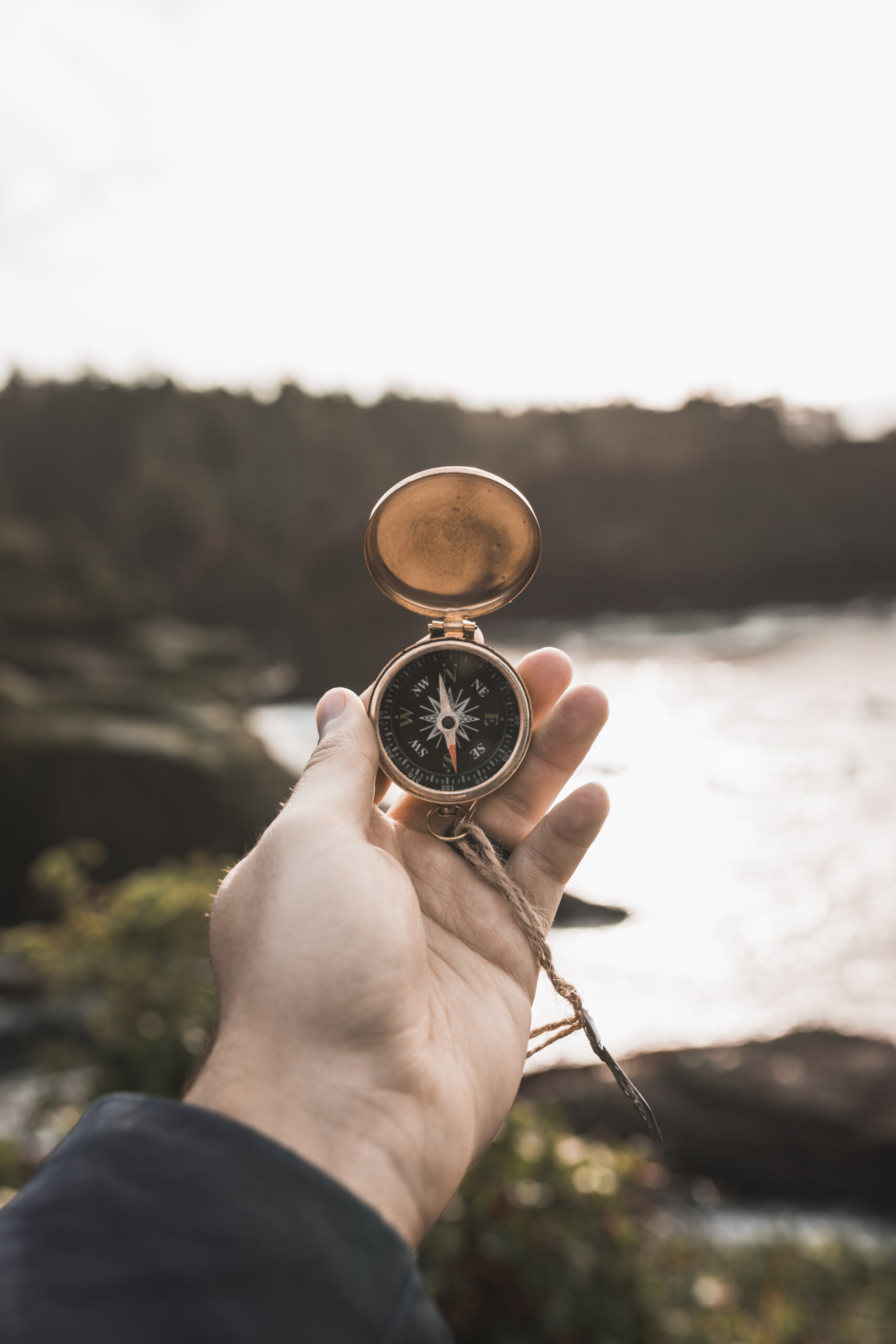 Organisatiestrategie en preventie — TeamWerklust